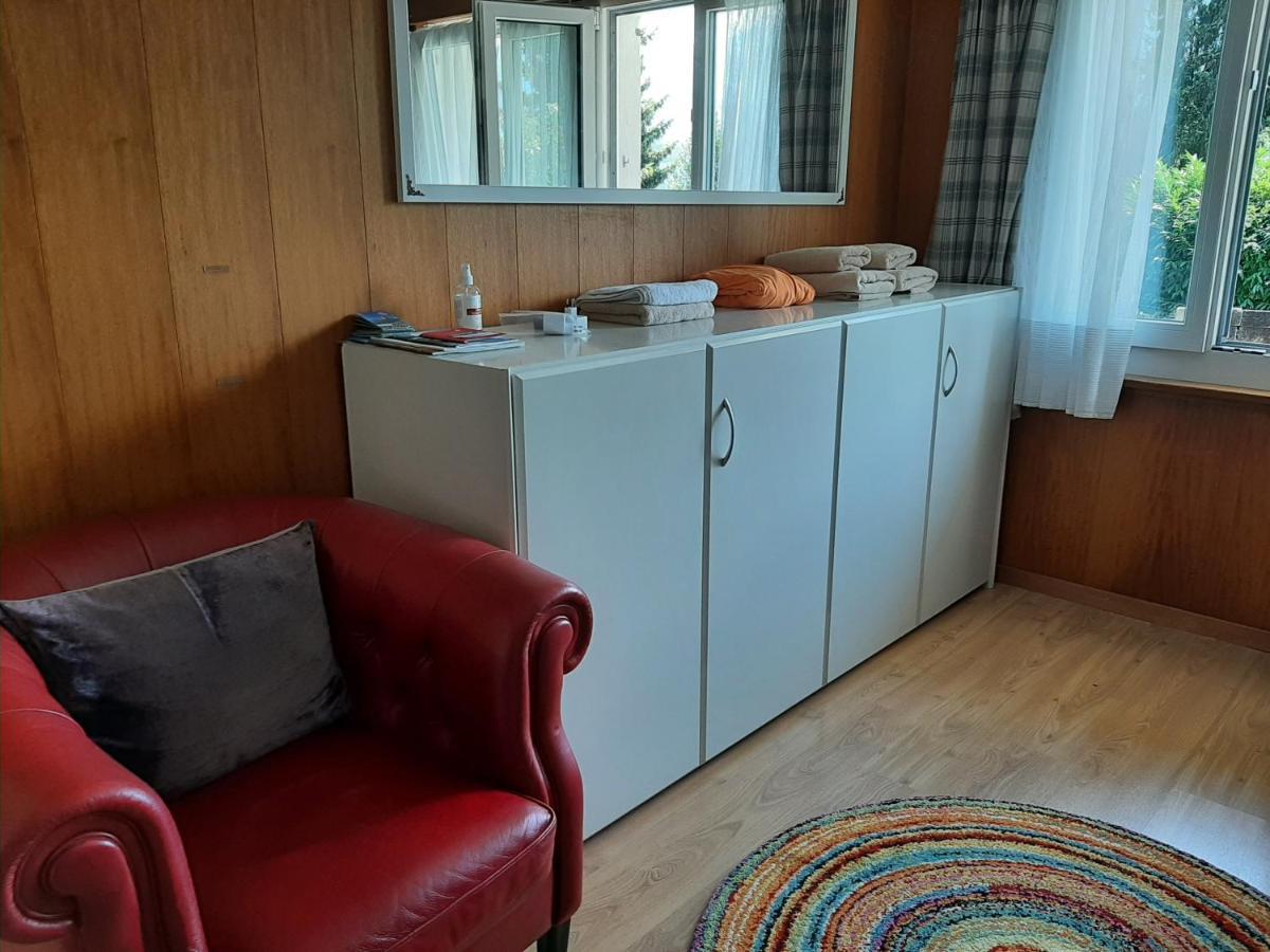 Chalet Apartment By Interlaken. Parking リングゲンベルク エクステリア 写真